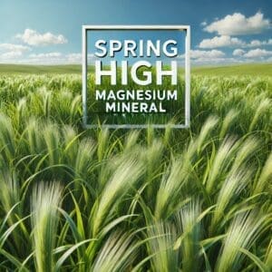 Tall grass with words Spring High Magnesium Mineral