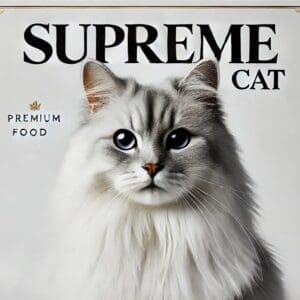 A-clean-professional-image-featuring-a-majestic-healthy-adult-cat-with-a-shiny-coat