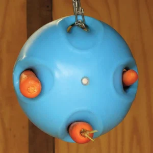 Carrot Ball, Blue