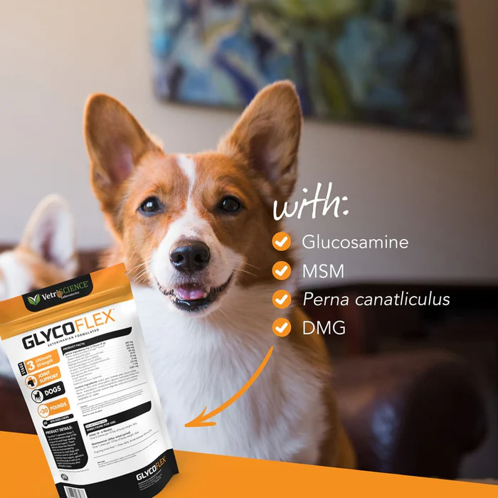 Glyco Flex Stage 3 Mini bite size chews 60ct - Image 4