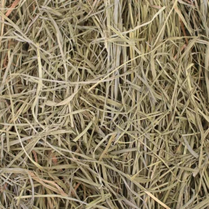 Orchard Grass Hay 20lb Loose Boxed