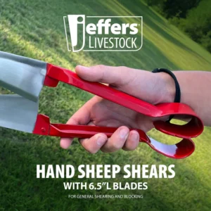 Hand Sheep Shears 6 1/2" Blades