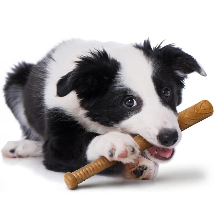 the_20ultimate_20pet_20chew_20toy_20_43_700x700