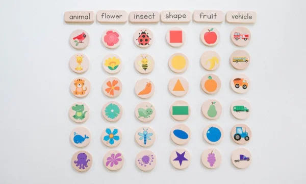 Bannor Toys: Matching & Sorting Games