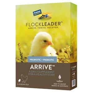 FlockLeader® Arrive™
