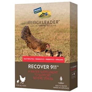 Recover 911™ Poultry Probiotic (8oz)