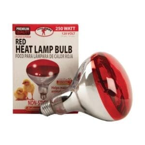 250-Watt Red Infrared Heat Lamp Bulb
